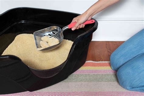 how to scoop cat litter